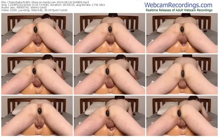 2024/08/18/chaturbate-nerdycum-16-48-00