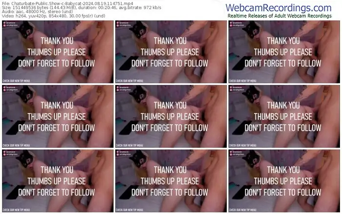 2024/08/19/chaturbate-8abycat-11-47-51