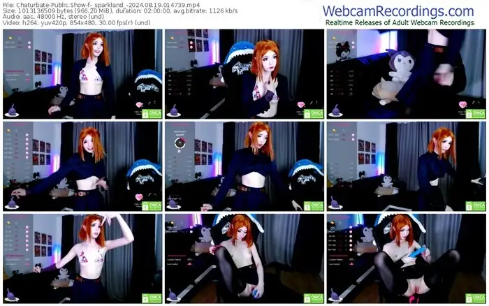 2024/08/19/chaturbate-_sparkland_-01-47-39