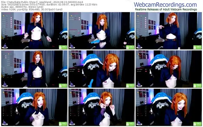 2024/08/19/chaturbate-_sparkland_-04-00-00