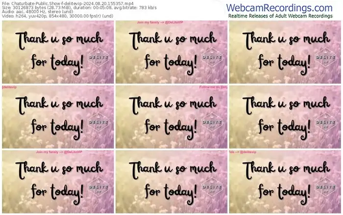 2024/08/20/chaturbate-delitevip-15-53-57