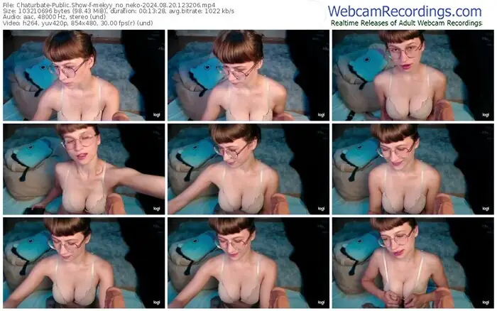 2024/08/20/chaturbate-mekyy_no_neko-12-32-06