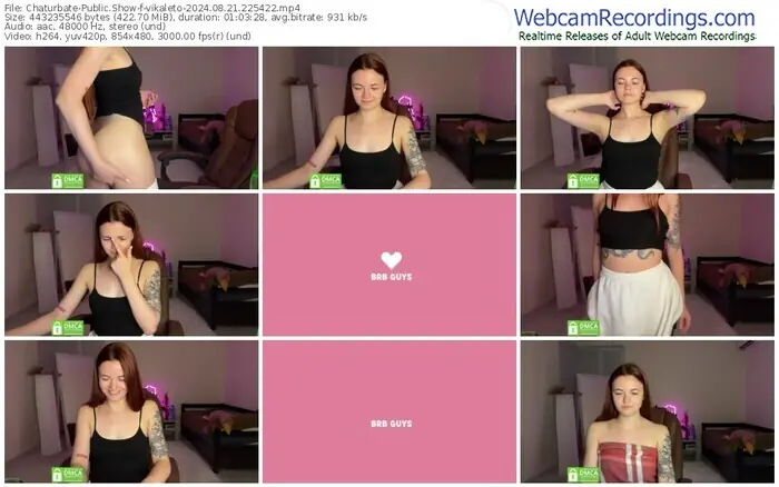 2024/08/21/chaturbate-vikaleto-22-54-22