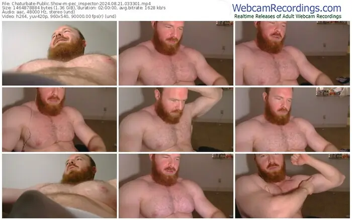 2024/08/21/chaturbate-pec_inspector-03-33-01