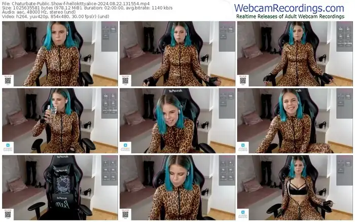 2024/08/22/chaturbate-hellokittyalice-13-15-54