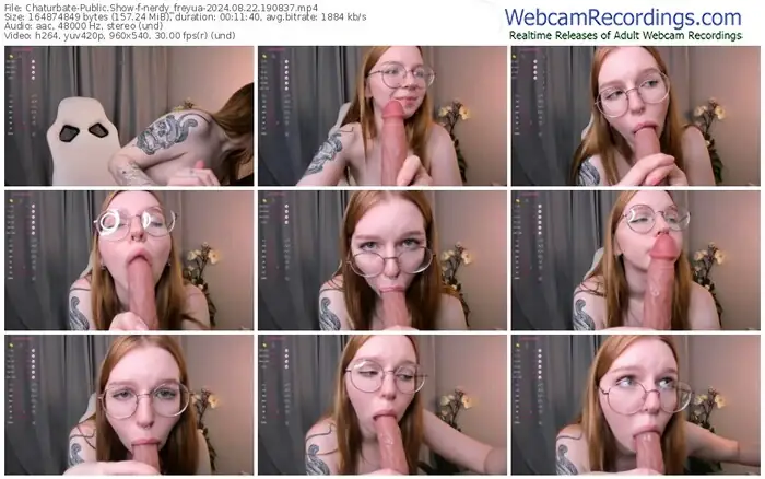 2024/08/22/chaturbate-nerdy_freyua-19-08-37