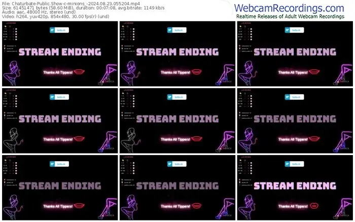 2024/08/23/chaturbate-minions_-05-52-04