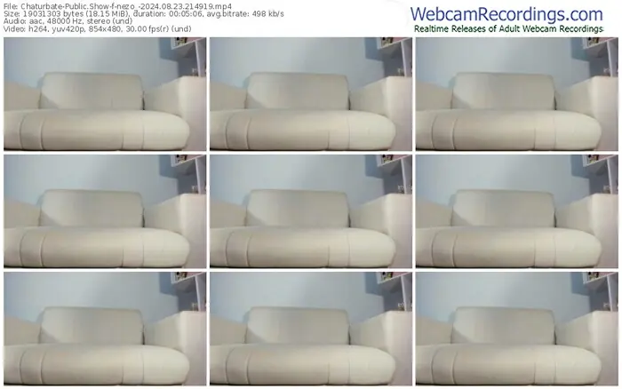2024/08/23/chaturbate-nezo_-21-49-19