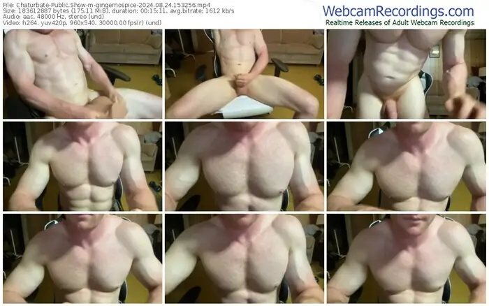 2024/08/24/chaturbate-gingernospice-15-32-56