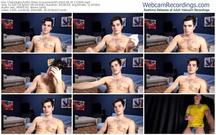2024/08/24/chaturbate-waynenorth-17-29-00