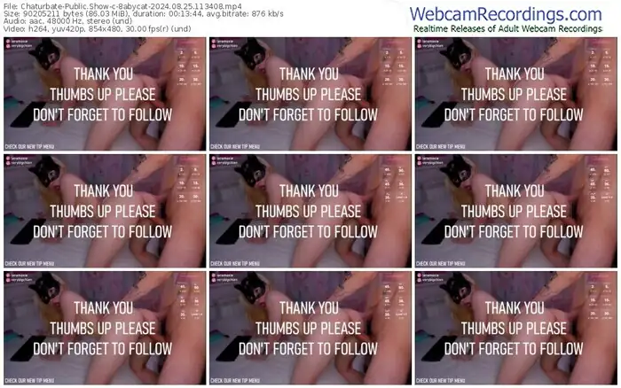 2024/08/25/chaturbate-8abycat-11-34-08