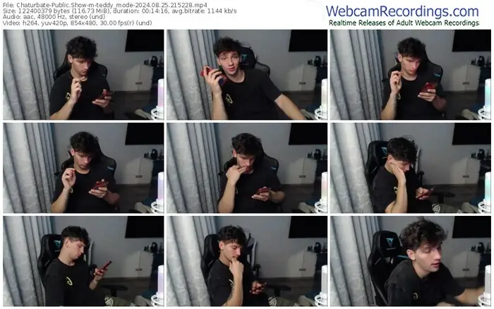 2024/08/25/chaturbate-teddy_mode-21-52-28