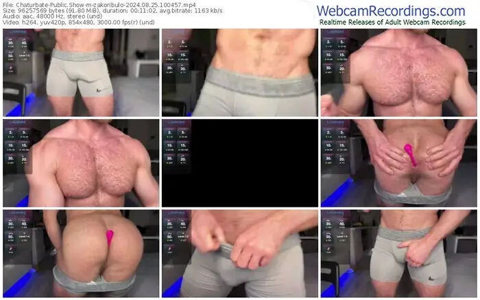 2024/08/25/chaturbate-zakoribulo-10-04-57
