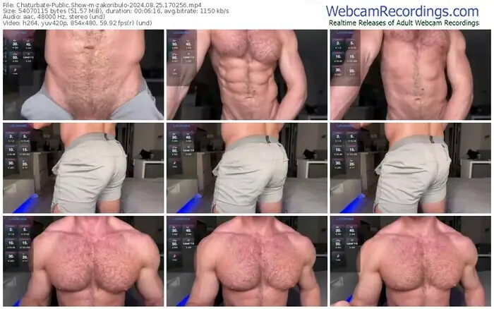 2024/08/25/chaturbate-zakoribulo-17-02-56