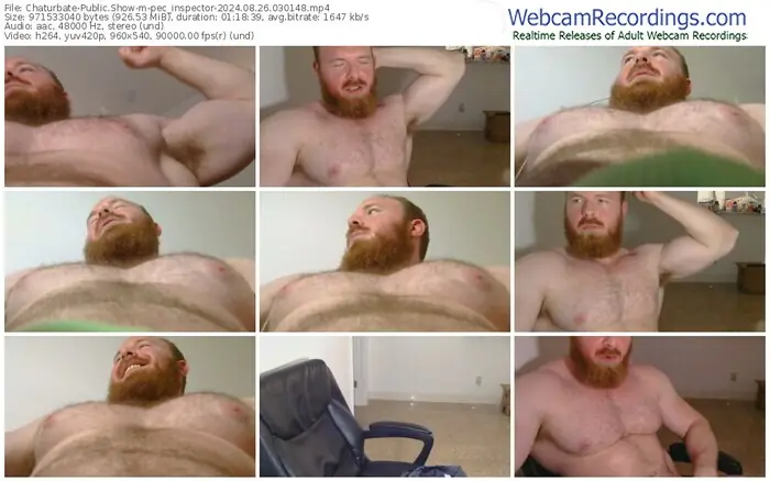 2024/08/26/chaturbate-pec_inspector-03-01-48