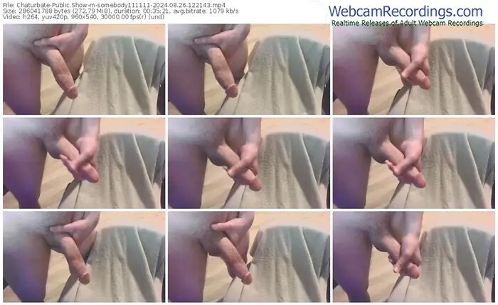 2024/08/26/chaturbate-somebody111111-12-21-43