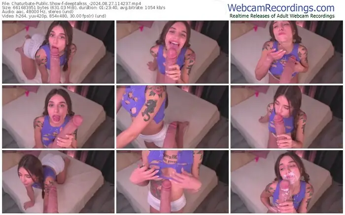 2024/08/27/chaturbate-deeptalkss_-11-42-37