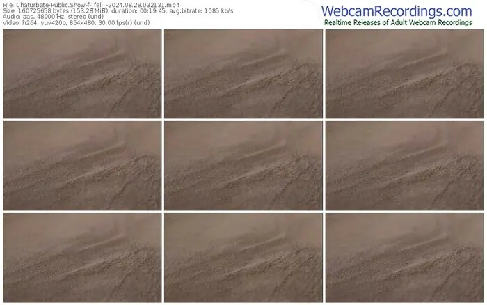 2024/08/28/chaturbate-_feli_-03-21-31