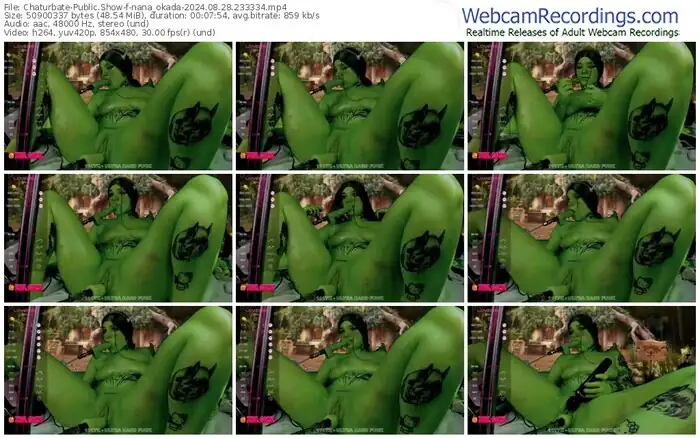 2024/08/28/chaturbate-nana_okada-23-33-34