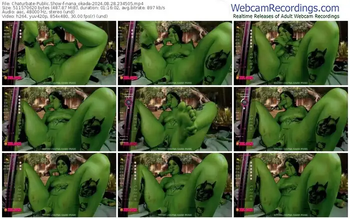 2024/08/28/chaturbate-nana_okada-23-45-05