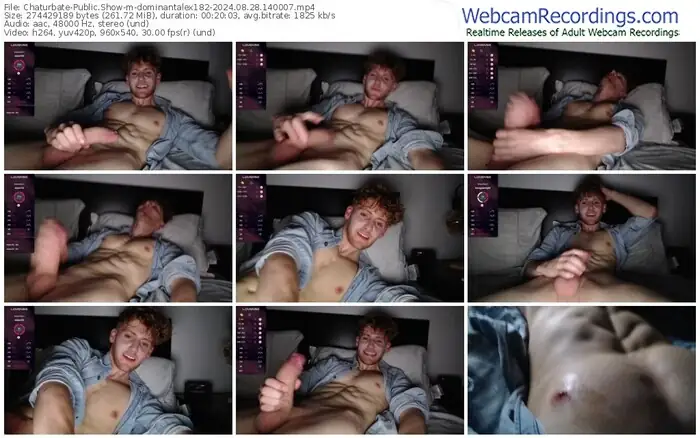2024/08/28/chaturbate-dominantalex182-14-00-07