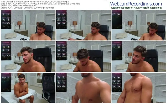2024/08/28/chaturbate-wilsonjules-22-30-00