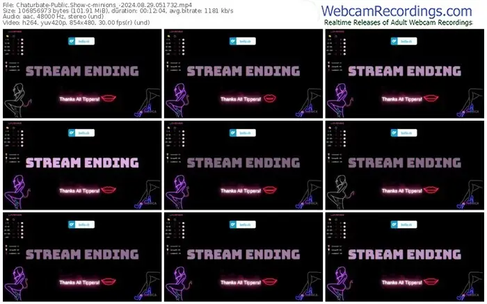 2024/08/29/chaturbate-minions_-05-17-32