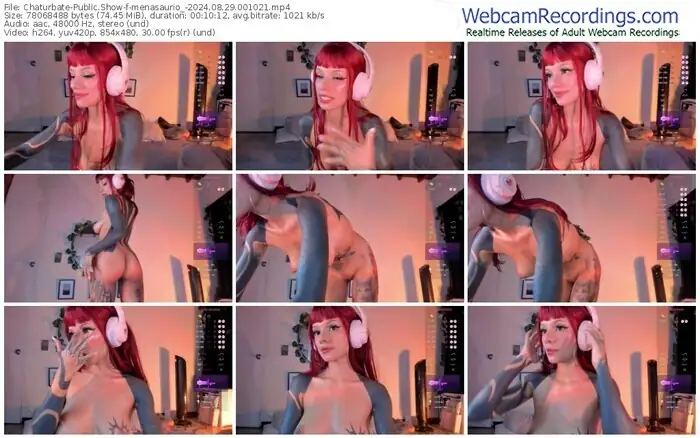 2024/08/29/chaturbate-menasaurio_-00-10-21
