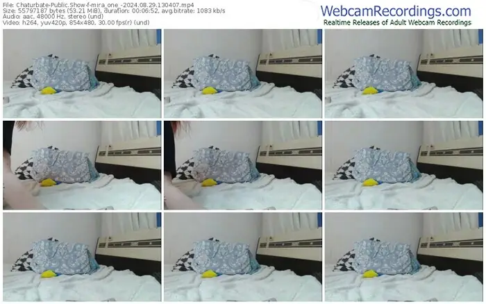 2024/08/29/chaturbate-mira_one_-13-04-07