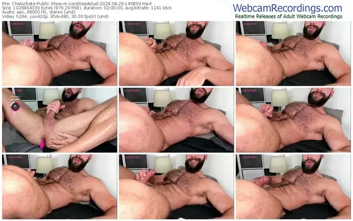 2024/08/29/chaturbate-cockheadstud-14-58-59