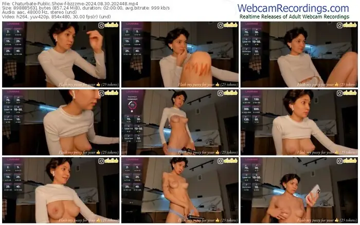 2024/08/30/chaturbate-bzzzme-20-24-48