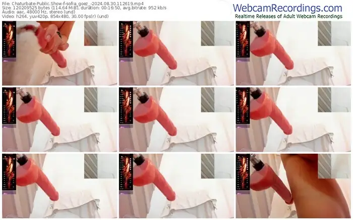2024/08/30/chaturbate-sofia_goez_-11-26-19