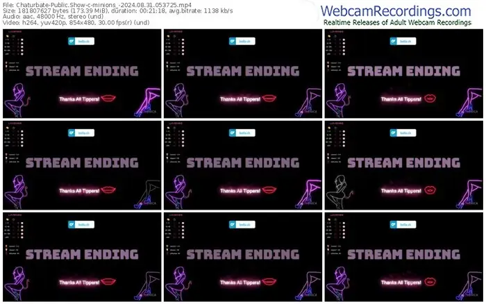 2024/08/31/chaturbate-minions_-05-37-25