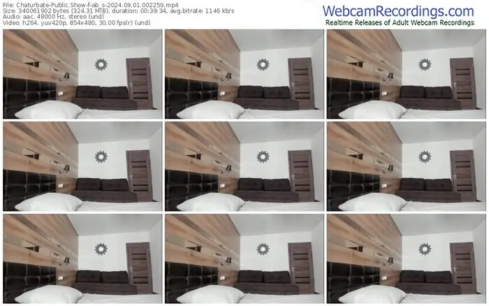 2024/09/01/chaturbate-ab_s-00-22-59