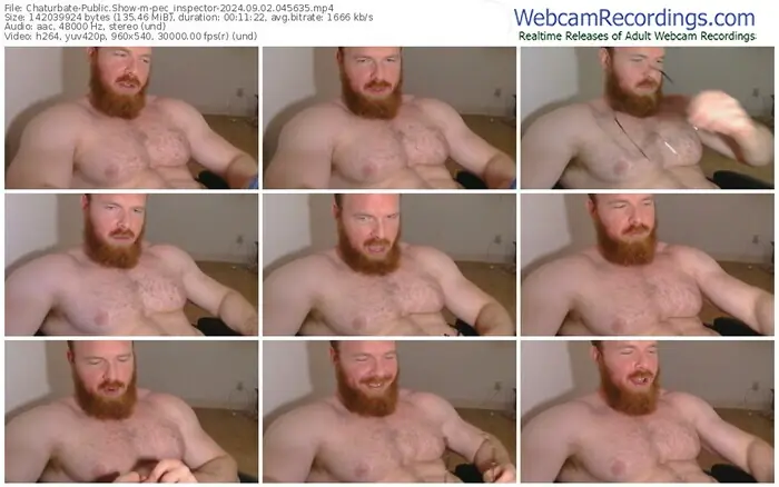 2024/09/02/chaturbate-pec_inspector-04-56-35