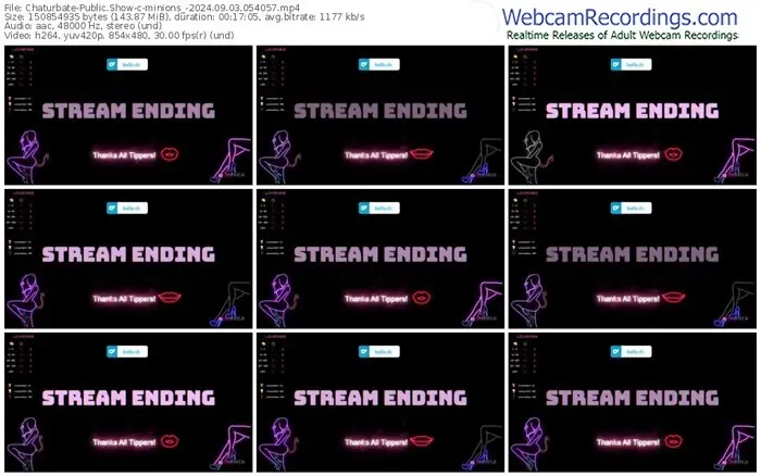 2024/09/03/chaturbate-minions_-05-40-57