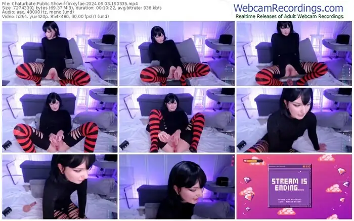 2024/09/03/chaturbate-finleyfae-19-03-35