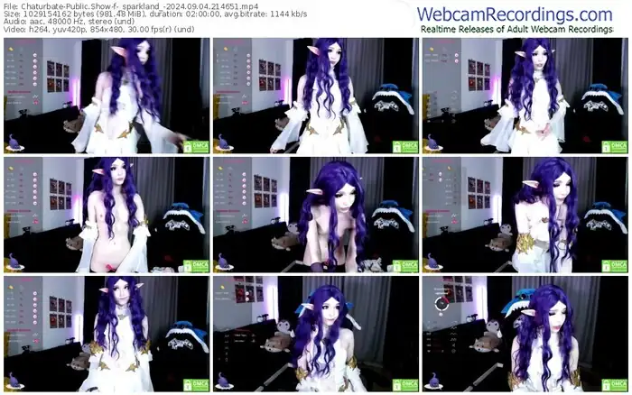 2024/09/04/chaturbate-_sparkland_-21-46-51