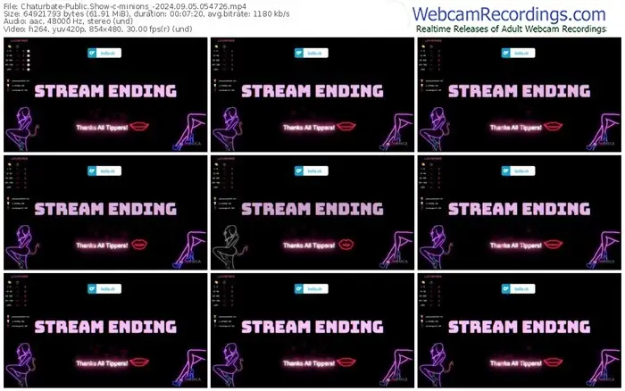 2024/09/05/chaturbate-minions_-05-47-26