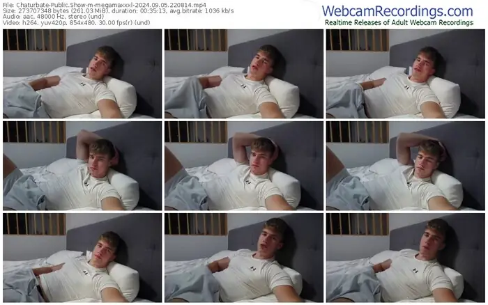 2024/09/05/chaturbate-megamaxxxl-22-08-14