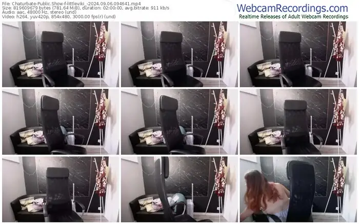 2024/09/06/chaturbate-littleviki_-09-46-41