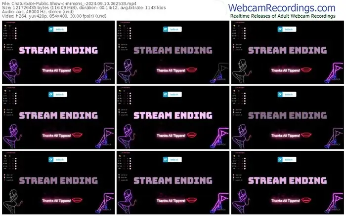 2024/09/10/chaturbate-minions_-06-25-33