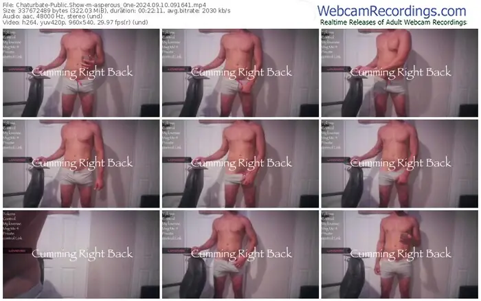 2024/09/10/chaturbate-asperous_0ne-09-16-41