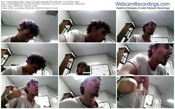 2024/09/10/chaturbate-playboyspade333-19-35-02