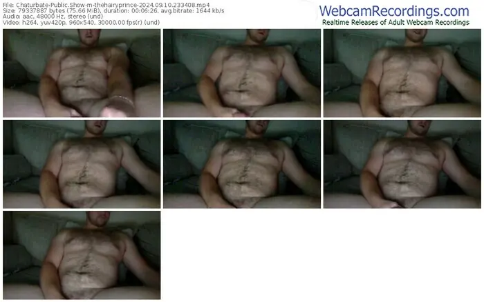 2024/09/10/chaturbate-thehairyprince-23-34-08