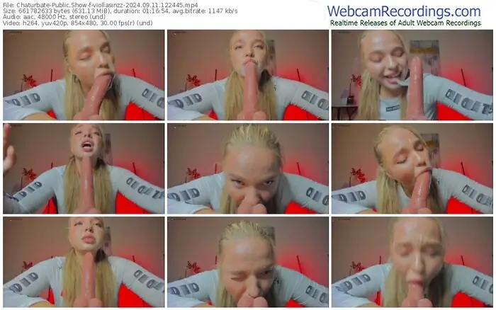 2024/09/11/chaturbate-viollasinzz-12-24-45