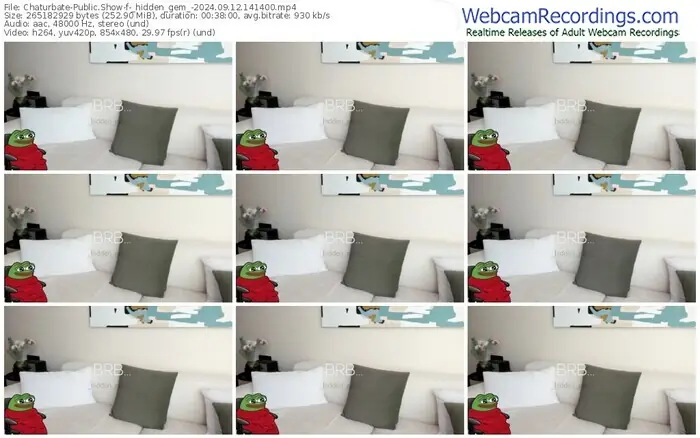 2024/09/12/chaturbate-_hidden_gem_-14-14-00