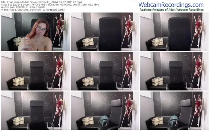 2024/09/12/chaturbate-littleviki_-08-11-28