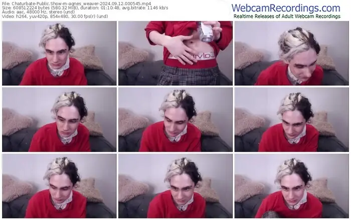 2024/09/12/chaturbate-agnes_weaver-00-05-45