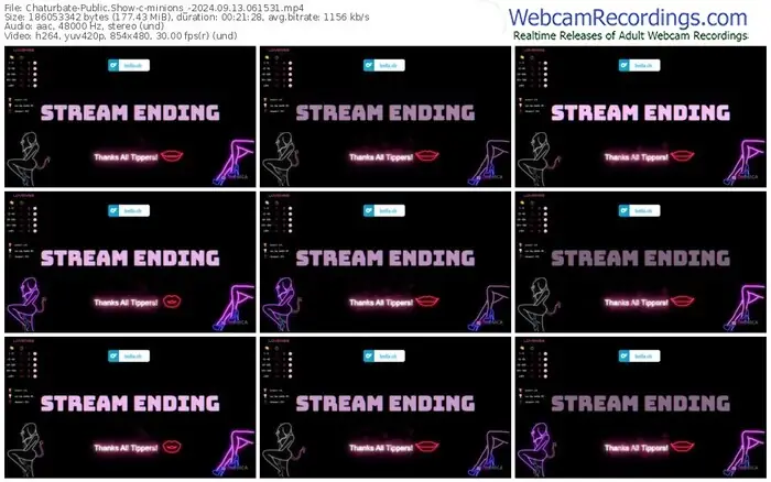 2024/09/13/chaturbate-minions_-06-15-31